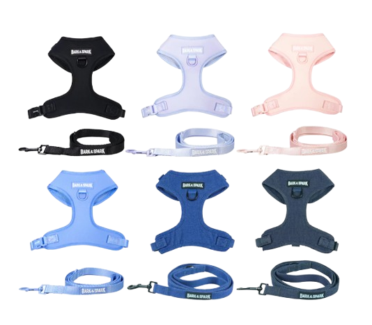 10 Best Dog Harnesses for Walking in the Philippines 2026 | Buying Guide Reviewed by Veterinarian 1