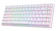 Royal Kludge Mechanical Keyboard 1