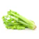 Tall Utah Celery Seeds 1