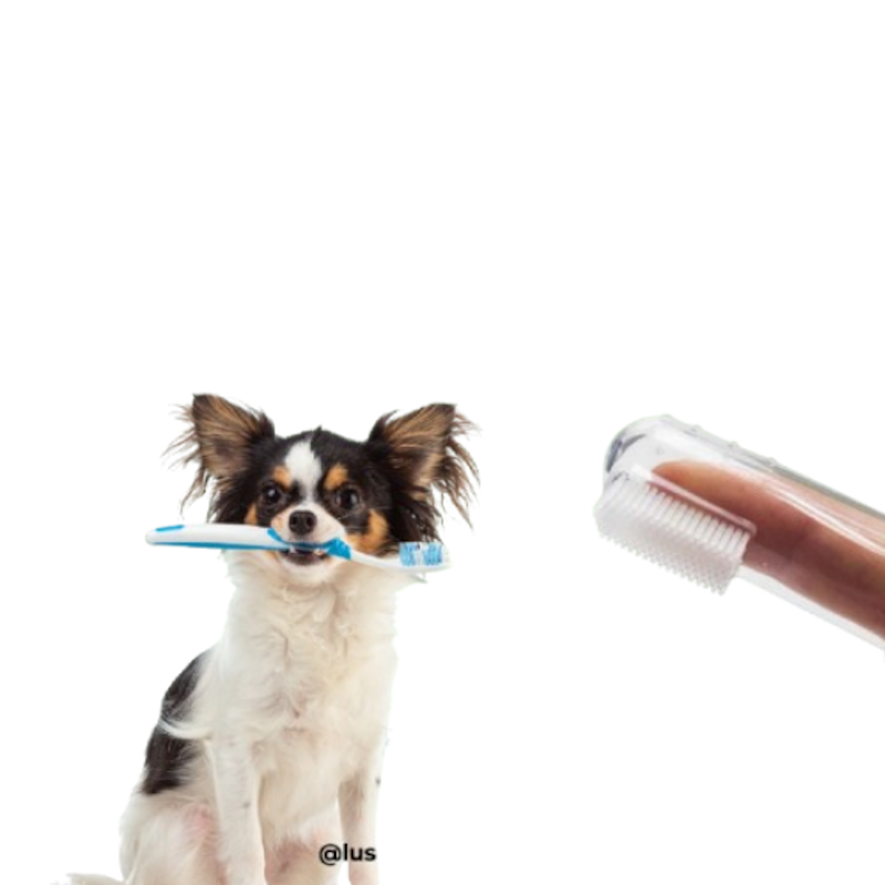 Dental Finger Brush 3