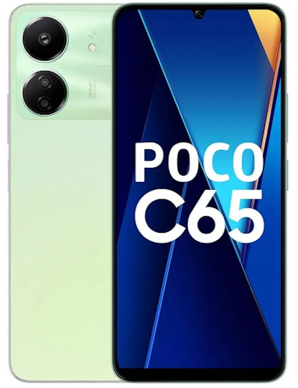 C65 1