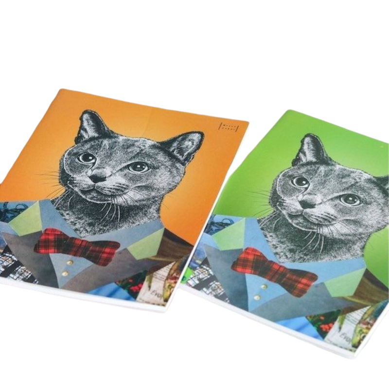 Animal Notebooks 3