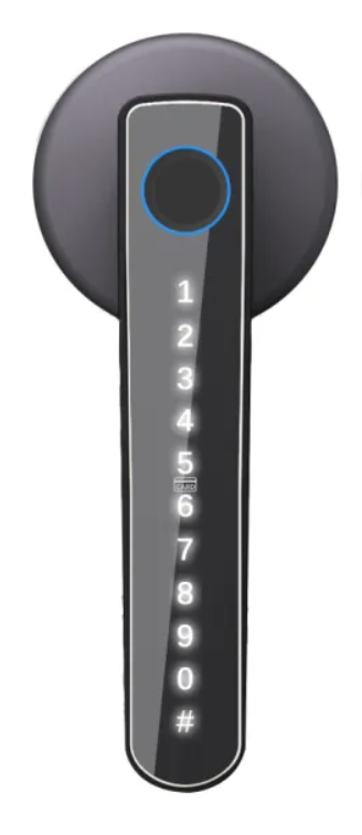 Tuya Smart Door Lock 1