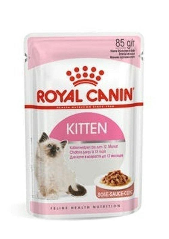 Wet Kitten Food 1