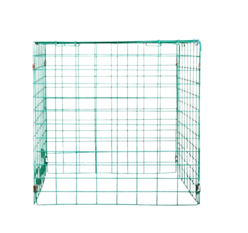 Raptor Chicken Cage 1