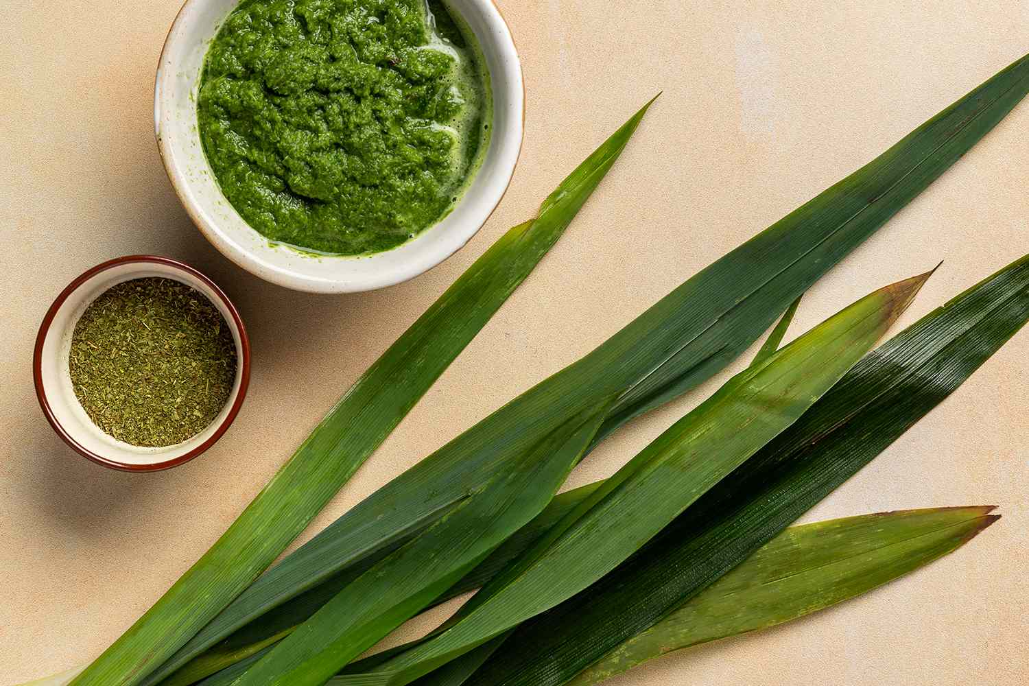 Pandan Plant 1