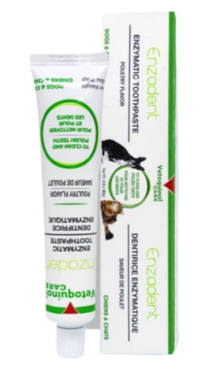 Enzadent Enzymatic Toothpaste 1