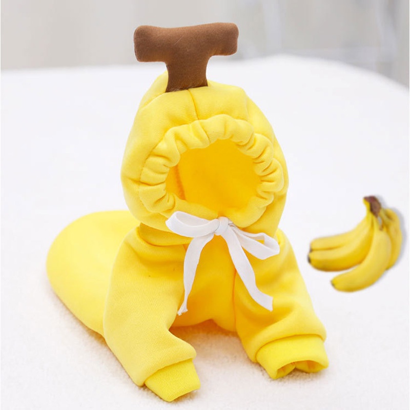 Pet Fruit Clothes 3
