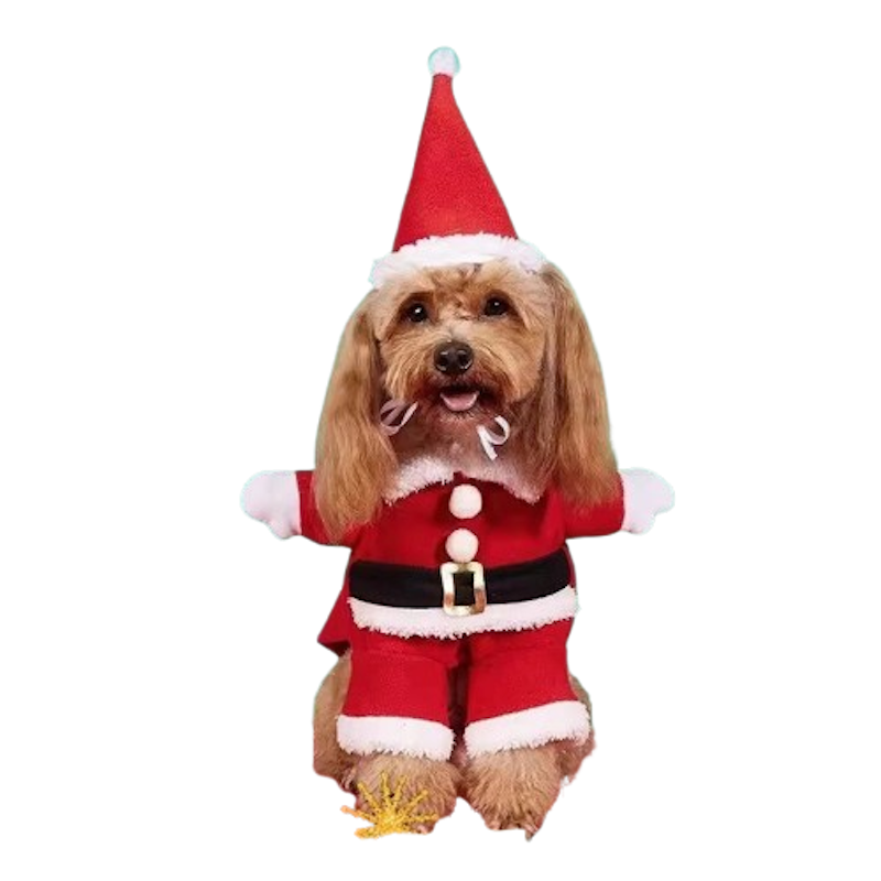 Santa Claus Costume for Cats and Dogs 2