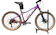 Avia Hydraulic Mountain Bike 1