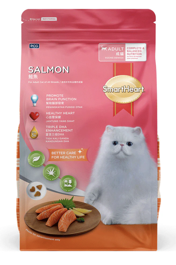 10 Best Cat Foods in the Philippines 2026 | Buying Guide Reviewed by Veterinarian 3