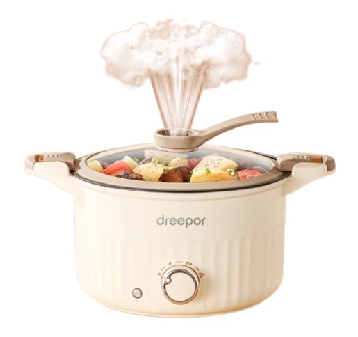 Micro Pressure Cooker 	  2