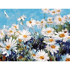 Small Daisies Paint by Numbers Kit