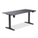 TTRacing Titus X Smart Desk Ergonomic Standing Desk 1