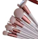 null Soft Make Up Brush Set With Flannel Cloth Bag 1