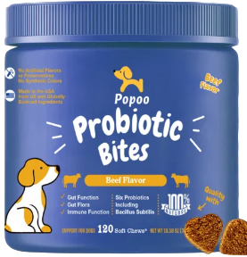 Probiotic Supplement Best Canine Probiotics 10 Best Probiotics For