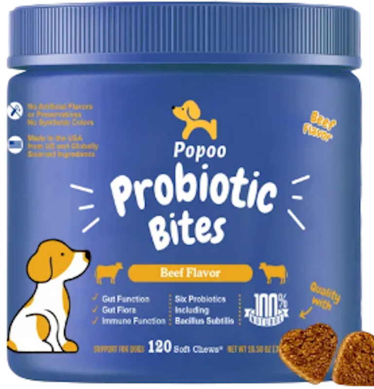 Probiotic Supplement Best Canine Probiotics 10 Best Probiotics For