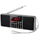 Retekess Digital Portable Radio 1