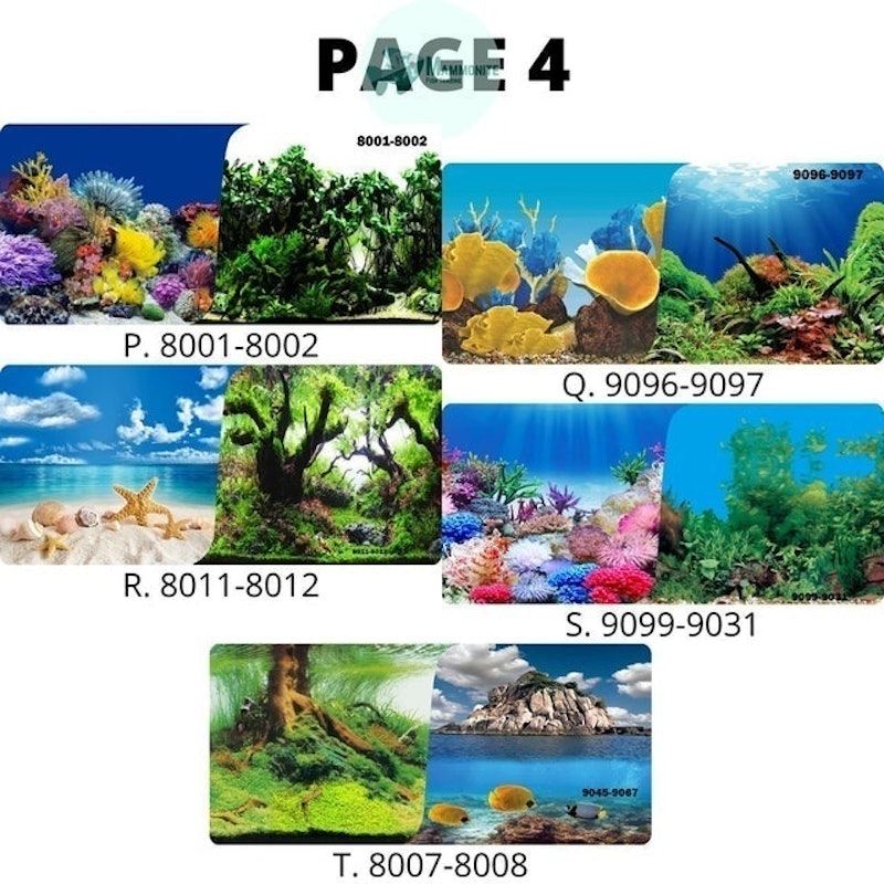 Realistic Colorful Aquarium Background Wallpaper 5