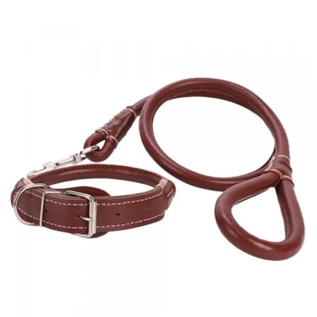 Leather Dog Collar and Leash 1