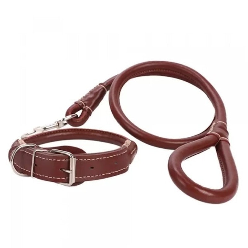 Leather Dog Collar and Leash 1
