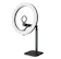 TELESIN 10-Inch Selfie Ring Adjustable Brightness LED Fill Light 1