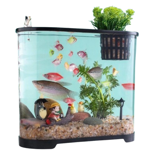 10 Best Small Aquariums in the Philippines 2026 5