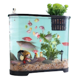 10 Best Small Aquariums in the Philippines 2026 5