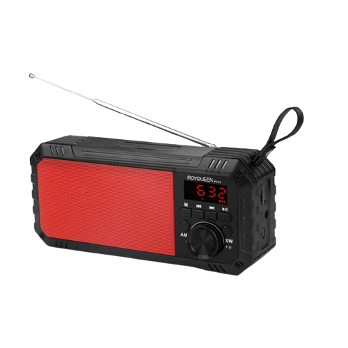 Royqueen Am Fm Radio With Wireless Speakers Alarm Clock Portronics