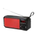 Royqueen Bluetooth Wireless Outdoor Radio 1