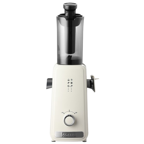 100W Heavy Duty Slow Juicer 1