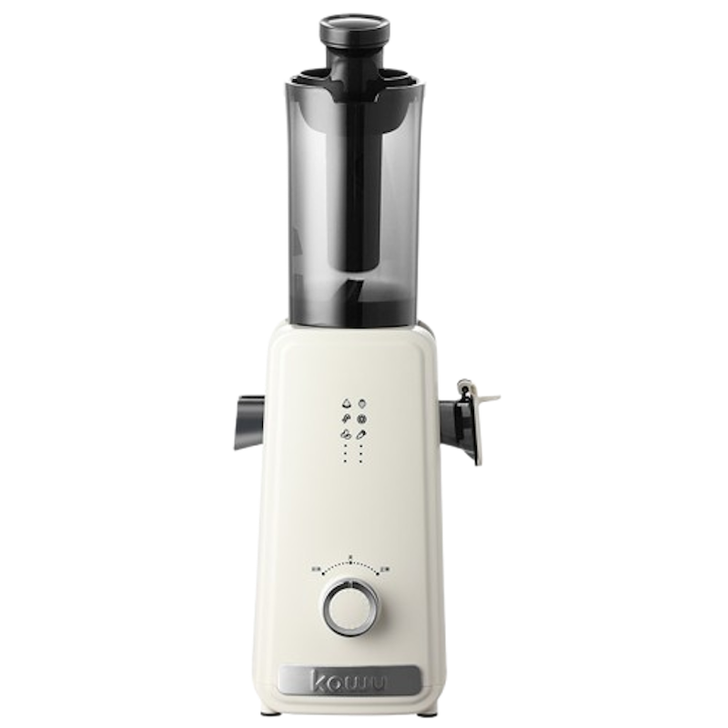 100W Heavy Duty Slow Juicer 1