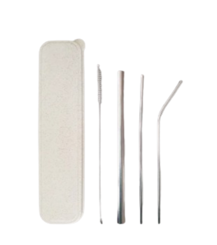 Stainless Steel Straw Set of 5 1