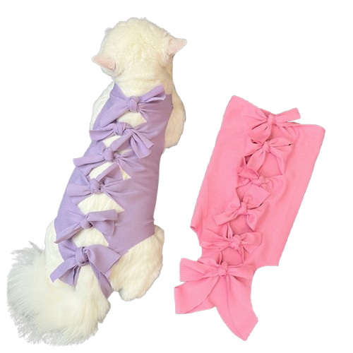 10 Best Cat Suits in the Philippines 2026 3