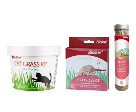 10 Best Cat Grasses in the Philippines 2026 2