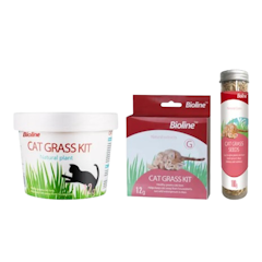 Cat Grass Kit Seeds Set