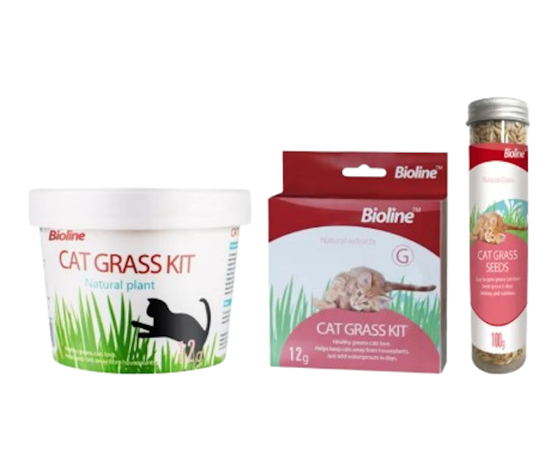Cat Grass Kit Seeds Set 1