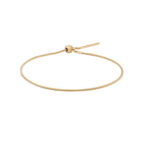 Charm Snake Bracelet 1
