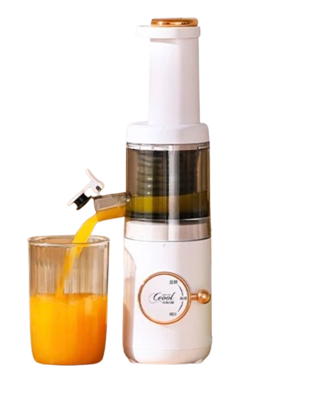 Slow Juicer 1