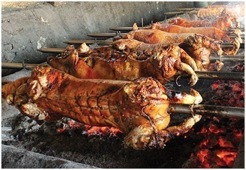 Whole Lechon 5