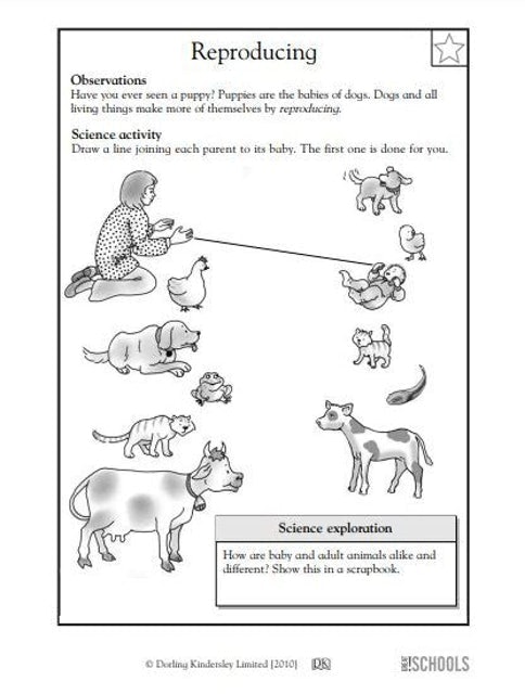 Kindergarten Science Worksheets 2