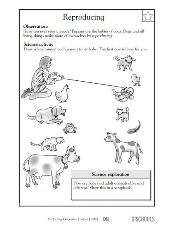 Kindergarten Science Worksheets 2