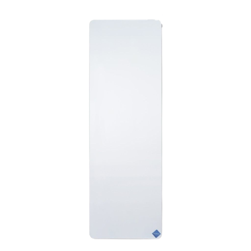 Full Length Mirror 1