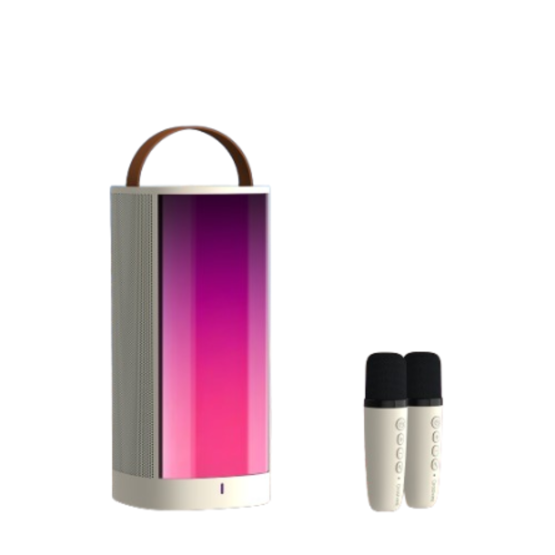 Wireless Karaoke Speaker 1