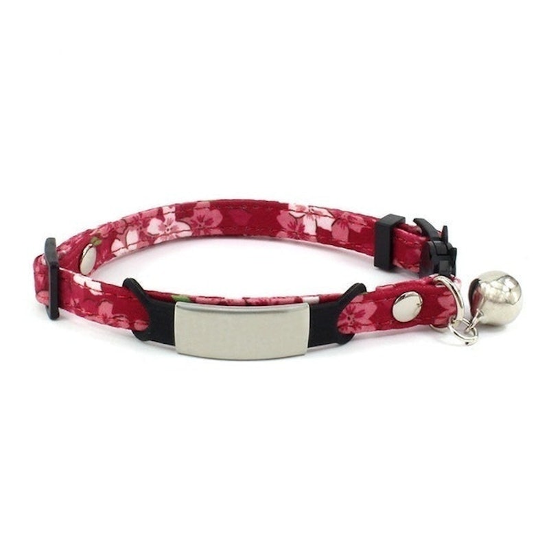 Customized Collar With Safety Buckle 3