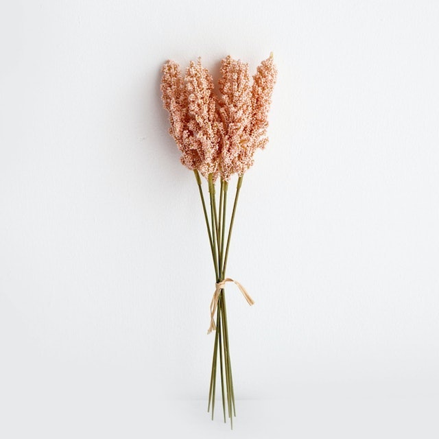 Artificial Vanilla Spike 4