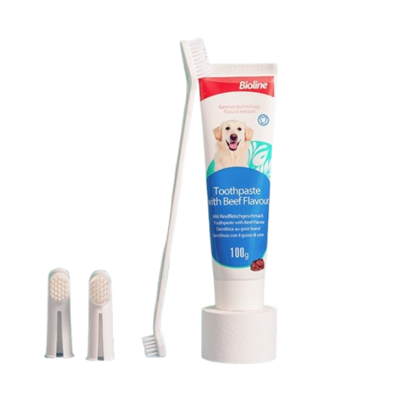 10 Best Toothbrushes for Dogs in the Philippines 2026 | Buying Guide Reviewed by Veterinarian 1
