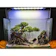 Driftwood Bonsai Aquascape 1