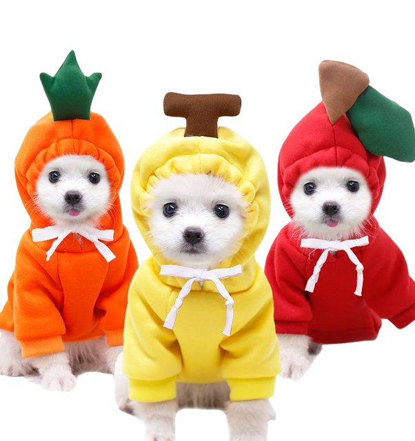 Pet Fruit Clothes 4