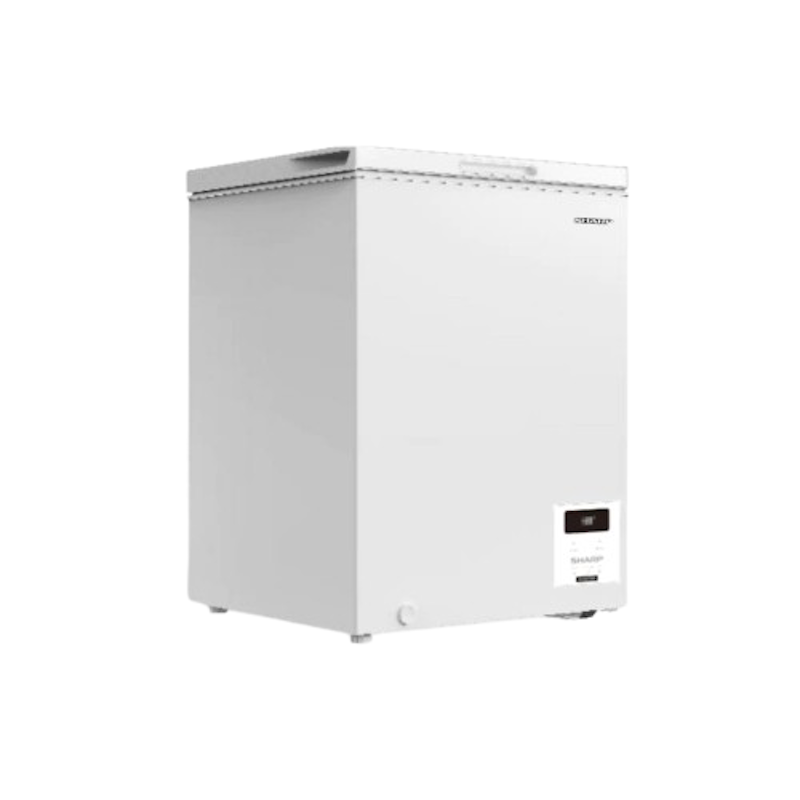 Inverter Chest Freezer 1